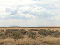 Recreational Land in Cowboy Farm : Valmy : Humboldt County : Nevada