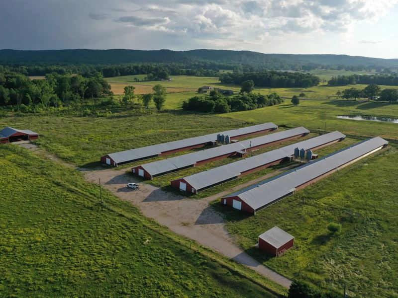 Mount Hope Broilers : Mount Hope : Lawrence County : Alabama