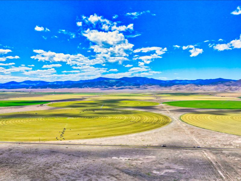 Power, Water Well, Irrigation, Barn : Saguache : Saguache County : Colorado