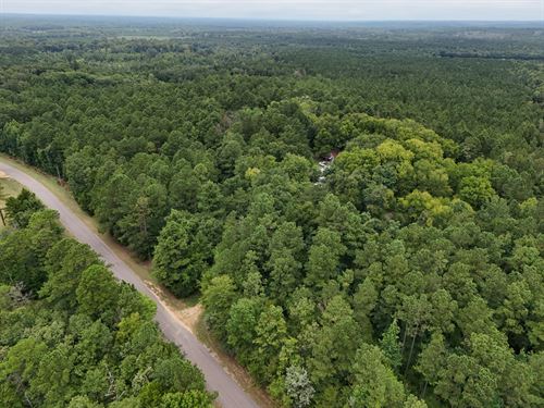 Craig Hill Hunting & Timber Tract : Selma : Dallas County : Alabama