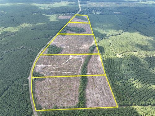 25 Acres, T-4, FM 92, 287044-045 : Spurger : Tyler County : Texas