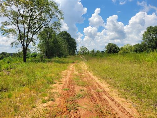 Waukeefriskee Wildlife Hideaway : Fort Gaines : Clay County : Georgia