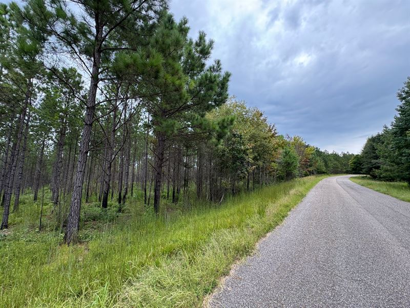 25.83 Acre Mini Farm, Equality : Equality : Elmore County : Alabama