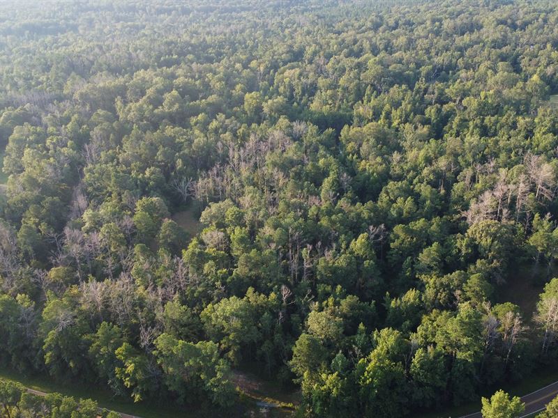 19.02 Acres in Copiah County, MS : Crystal Springs : Copiah County : Mississippi