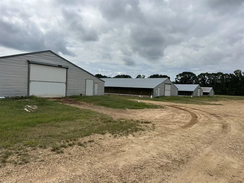 Creekside Broiler Farm : Monticello : Lawrence County : Mississippi