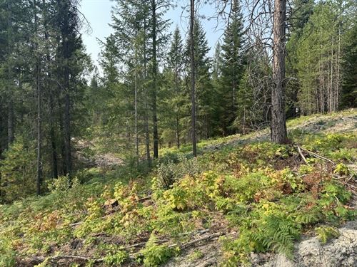 Wildlife Wonder : Priest River : Bonner County : Idaho