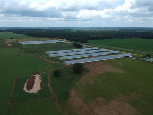 Silo Road Broiler & Cattle Farm : Edison : Calhoun County : Georgia