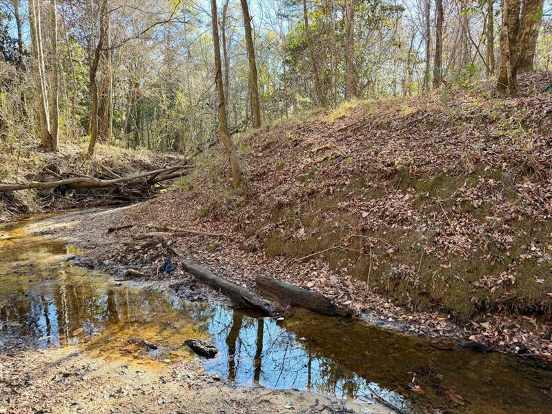 Dry Creek Tract : Brantley : Crenshaw County : Alabama