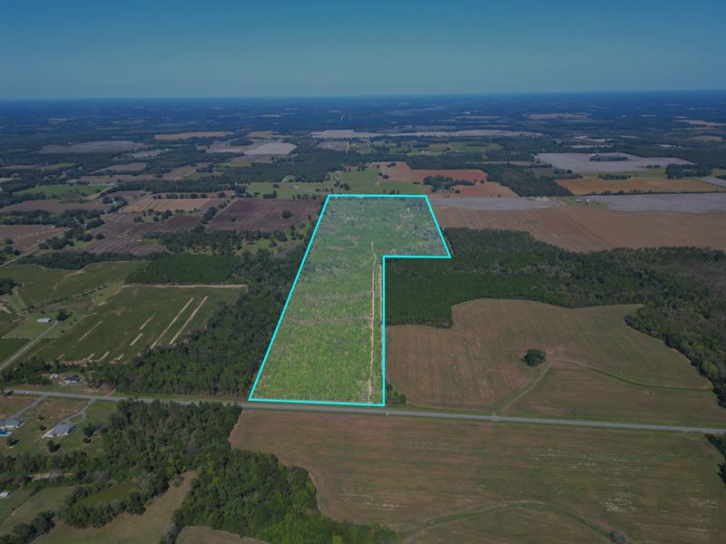 101 Acres Slash Pine & Hardwood : Graceville : Jackson County : Florida