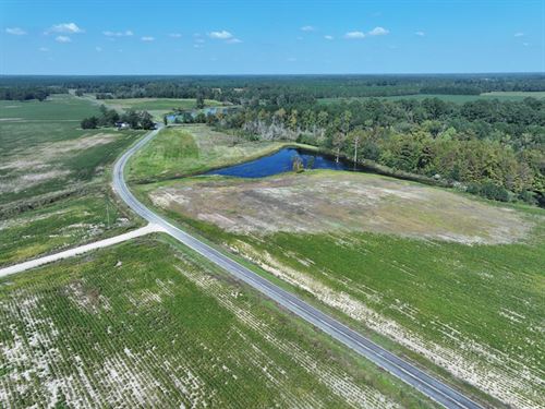 Beautiful Farm with Lake View : Fairmont : Robeson County : North Carolina