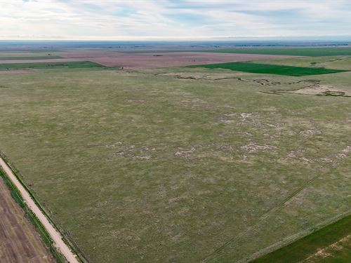 Whelden's Wetzel Creek Ranch : Deer Trail : Adams County : Colorado