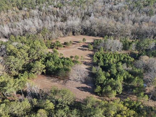 Noble Tract : Tuskegee : Macon County : Alabama