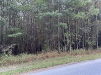 Strategic Investment Property : Aragon : Polk County : Georgia