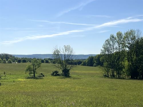 Southern Tier Home or Hunting Camp : New Berlin : Chenango County : New York