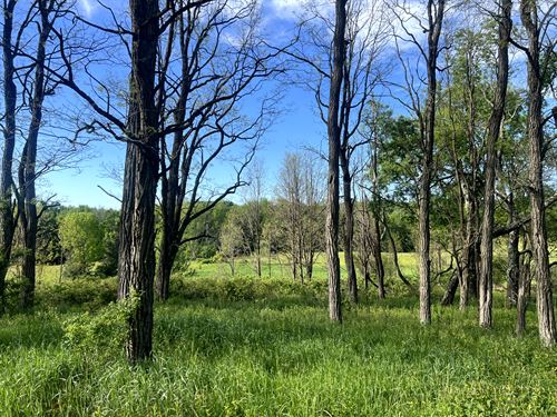 Southern Tier Getaway with Meadows : New Berlin : Chenango County : New York
