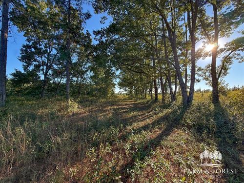 183 Ac Geneva Co, County Line Fa : Chancellor : Geneva County : Alabama