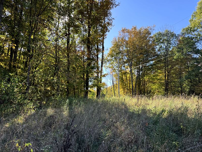 Near Salmon River : Orwell : Oswego County : New York