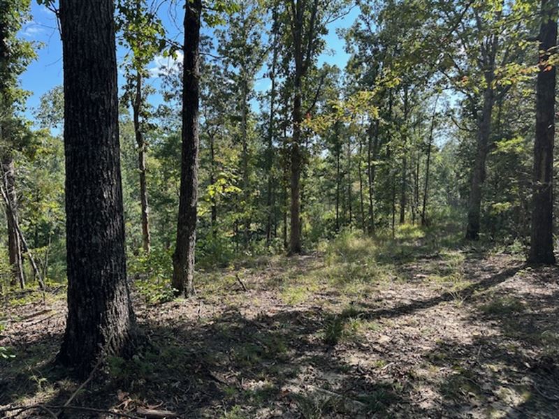 Firetower Road West : Camden : Benton County : Tennessee