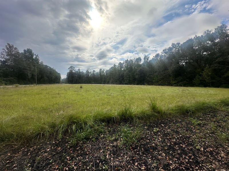 Low Ground Road : Guyton : Effingham County : Georgia