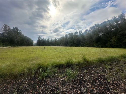 Low Ground Road : Guyton : Effingham County : Georgia