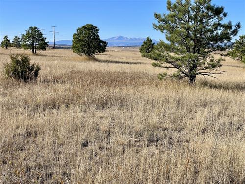 Rkr Ranch 50 : Elbert : Colorado