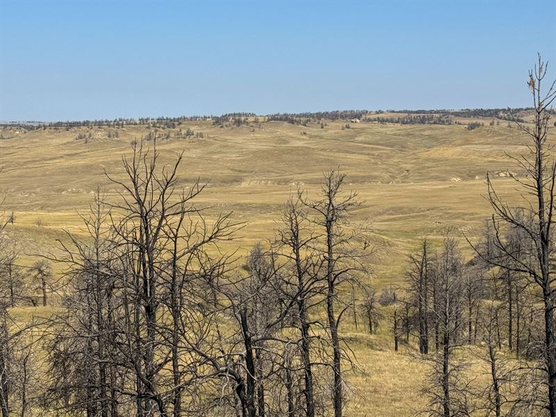 Haveman Ranch Llc : Hysham : Treasure County : Montana
