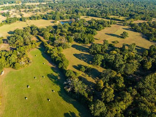 White Cloud Ranch : Athens : Henderson County : Texas