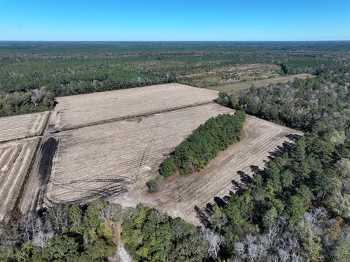 Spacious Hunting Property : Kelly : Bladen County : North Carolina