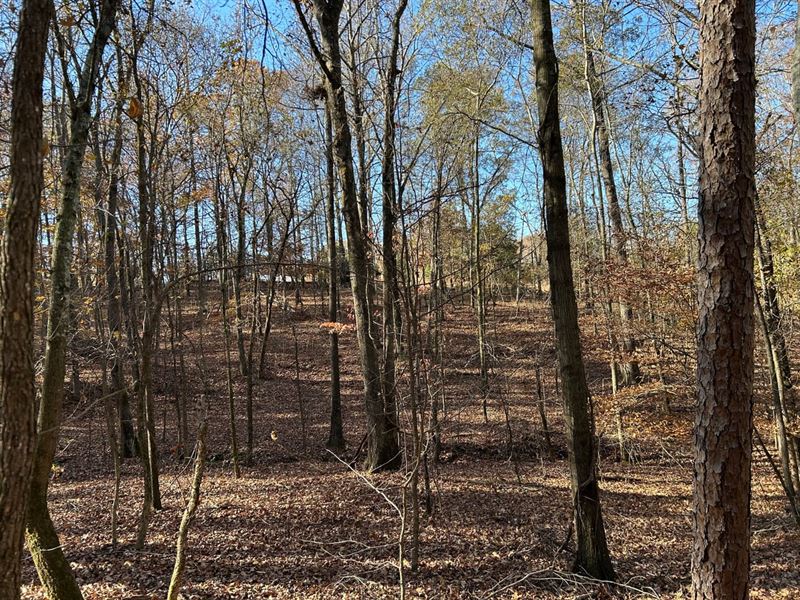 Dove Hill Retreat : Royston : Franklin County : Georgia