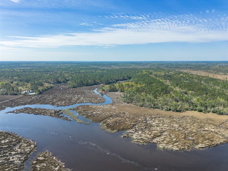 41 Acre Little Satilla River Estate : Waverly : Camden County : Georgia