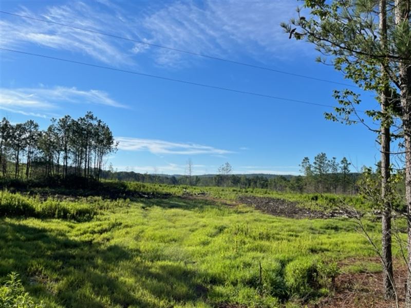 Culp Lake Road South Tract : Cedartown : Polk County : Georgia