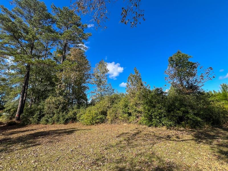 14 Acres, T-1, FM 787, 285012 : Votaw : Hardin County : Texas