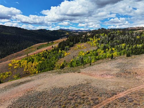 Maki Creek Ranch : Big Piney : Sublette County : Wyoming