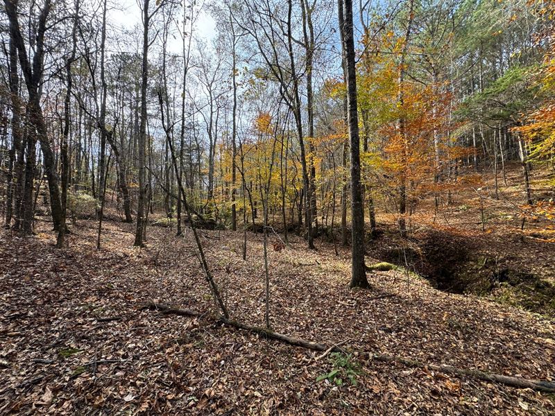 99 Acres, Elbert County, Georgi : Elberton : Elbert County : Georgia