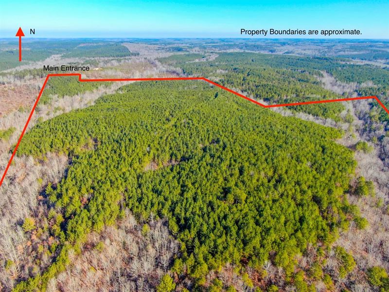 122 Acres in Marion County, AL : Hamilton : Marion County : Alabama