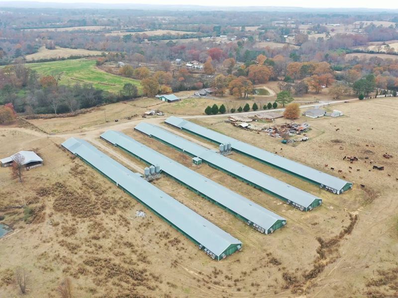 Brothers L&D Farm : Boaz : Marshall County : Alabama