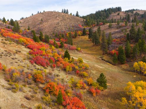 Council Mountain Ranch : Council : Adams County : Idaho