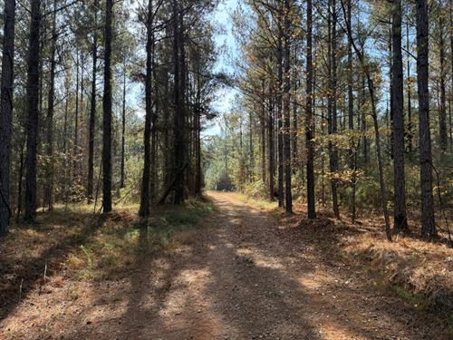 Youngblood Road : Sparta : Hancock County : Georgia
