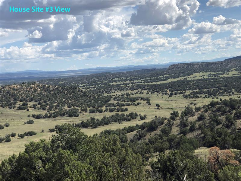 Elk Ridge Ranch : Fence Lake : Cibola County : New Mexico