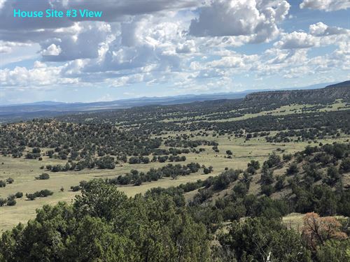 Elk Ridge Ranch : Fence Lake : Cibola County : New Mexico
