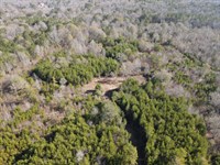 Reduced, 20 Acres in Talladega : Eastaboga : Talladega County : Alabama