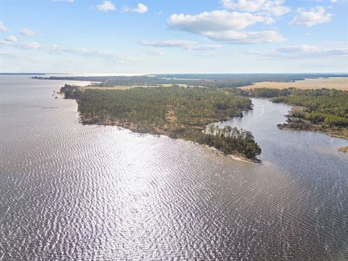 112-Ac Pungo River Waterfront Land : Belhaven : Beaufort County : North Carolina