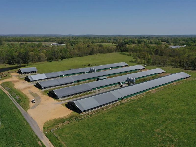Sale Pendgin, Black Oak Mega Farm : Fyffe : Dekalb County : Alabama