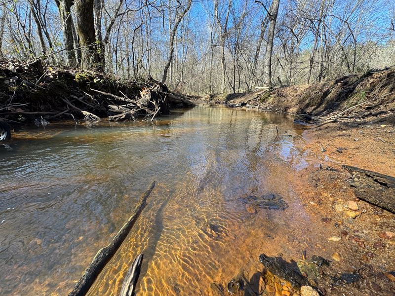 120 Acre Pine Plantation : Lafayette : Chambers County : Alabama