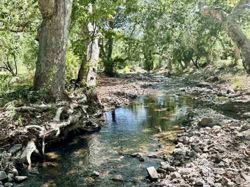 Deep Creek Ranch : Glenwood : Catron County : New Mexico