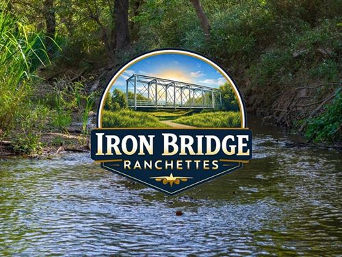 26 Acres, Providence Road, T-11 : Calvert : Robertson County : Texas