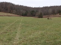 Kentucky Cattle Horse & Hunting Far : Horse Cave : Hart County : Kentucky