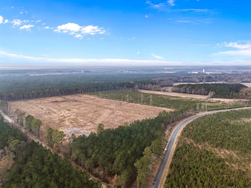 51-Ac Timber & Hunting Tract : Chocowinity : Beaufort County : North Carolina