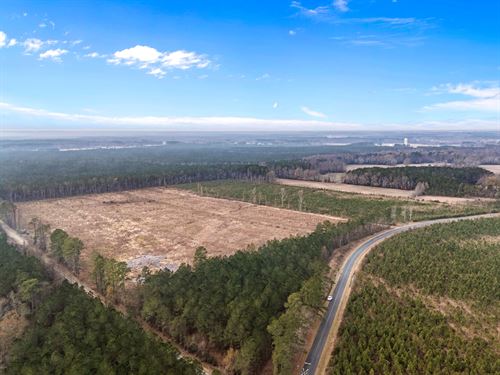 51-Ac Timber & Hunting Tract : Chocowinity : Beaufort County : North Carolina