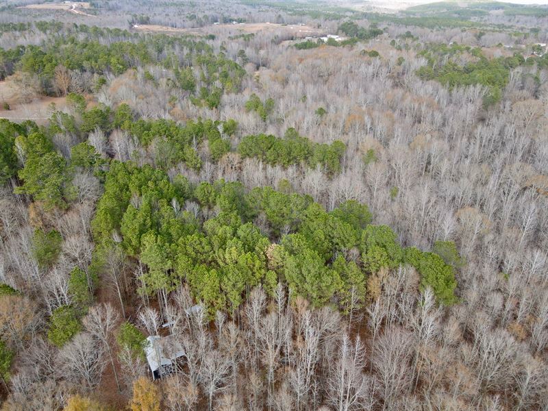 Shep's Hideaway, 17 Acres : Ashland : Clay County : Alabama